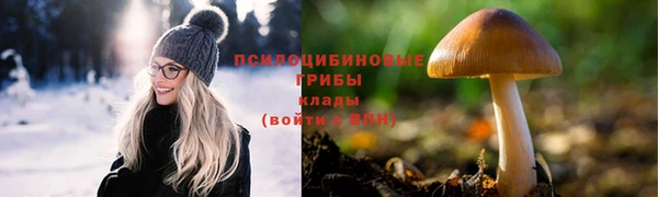 МДПВ Арсеньев